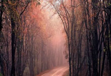 星空体育官网：宋晓竞成为中国篮协裁判员委员会主任候.