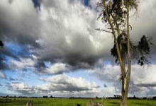 意杯半决赛次回合:4月24日3点国米vs米兰 25日3点博洛尼亚恩波利.