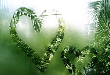 大连英博海发主场首战!警方提示.