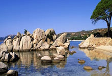 星空体育官网:不惧NFL竞争 NBA圣诞大战收视率创五年新高.